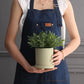 Ceramic Planter Pot - Various Color Options