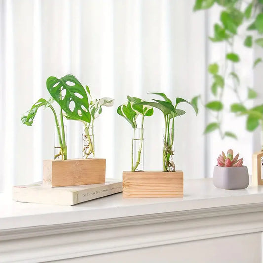 Plant Propagation Station