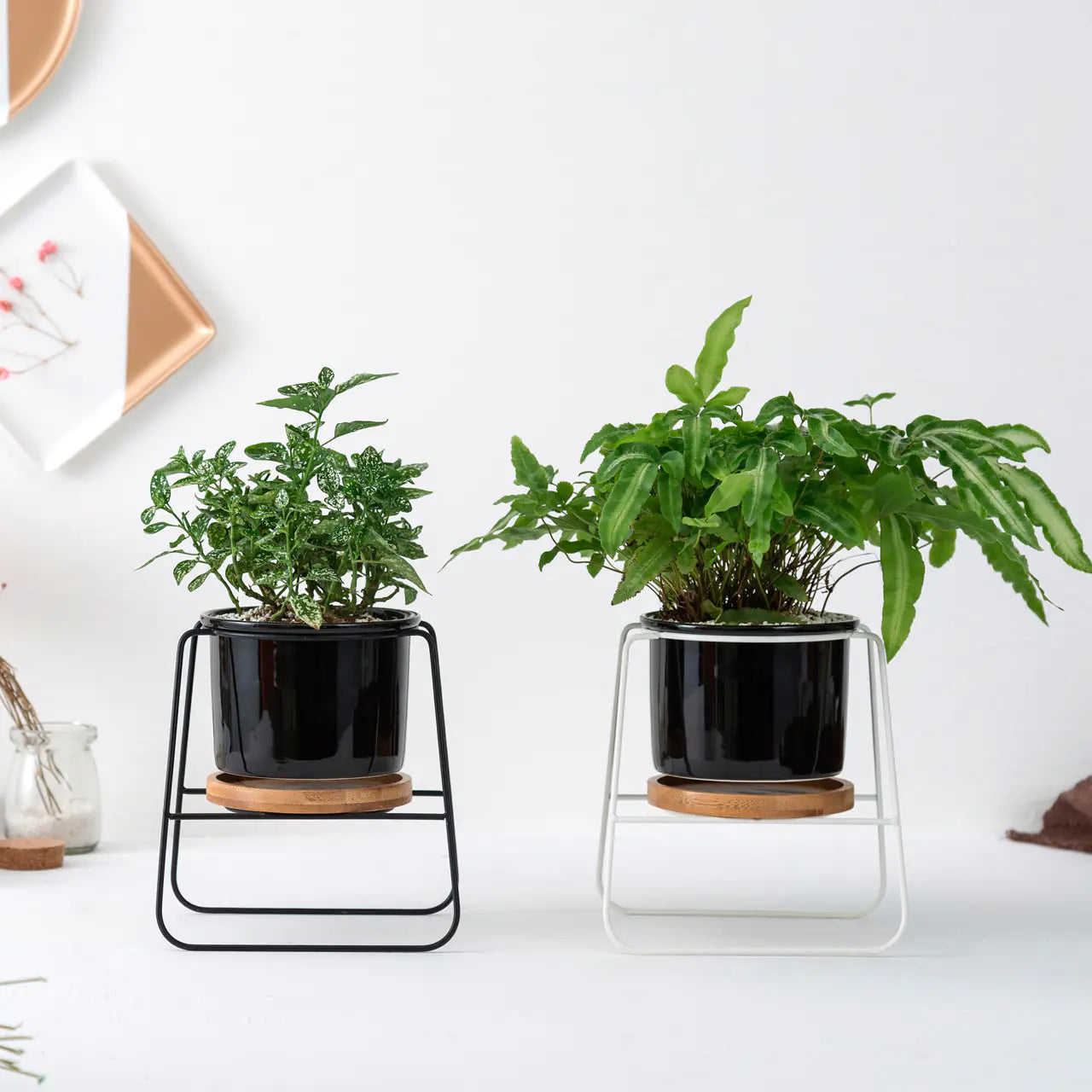 Geometric Ceramic Planter Set with Bamboo Stand and Iron Frame