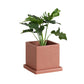 Square Cement Planter with Tray