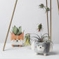 Corgi Ceramic Planter
