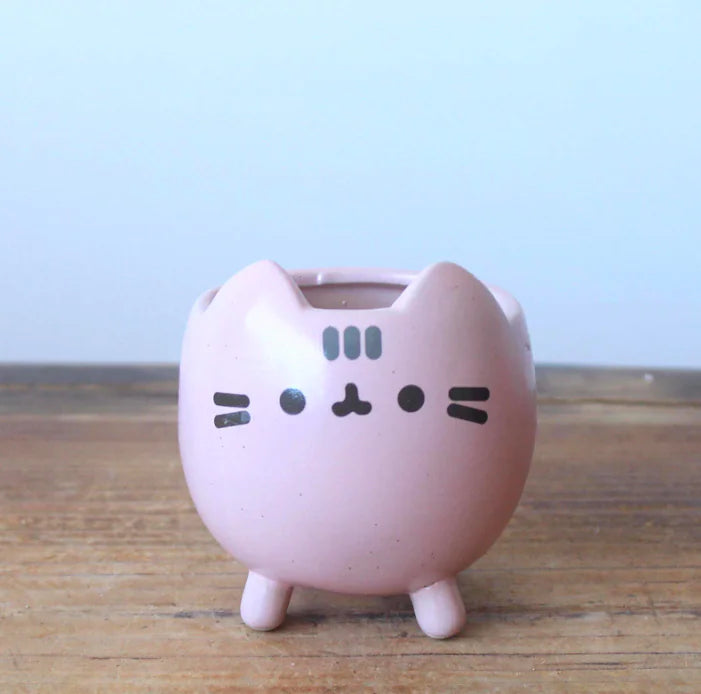 WhimsyCat Ceramic Planters