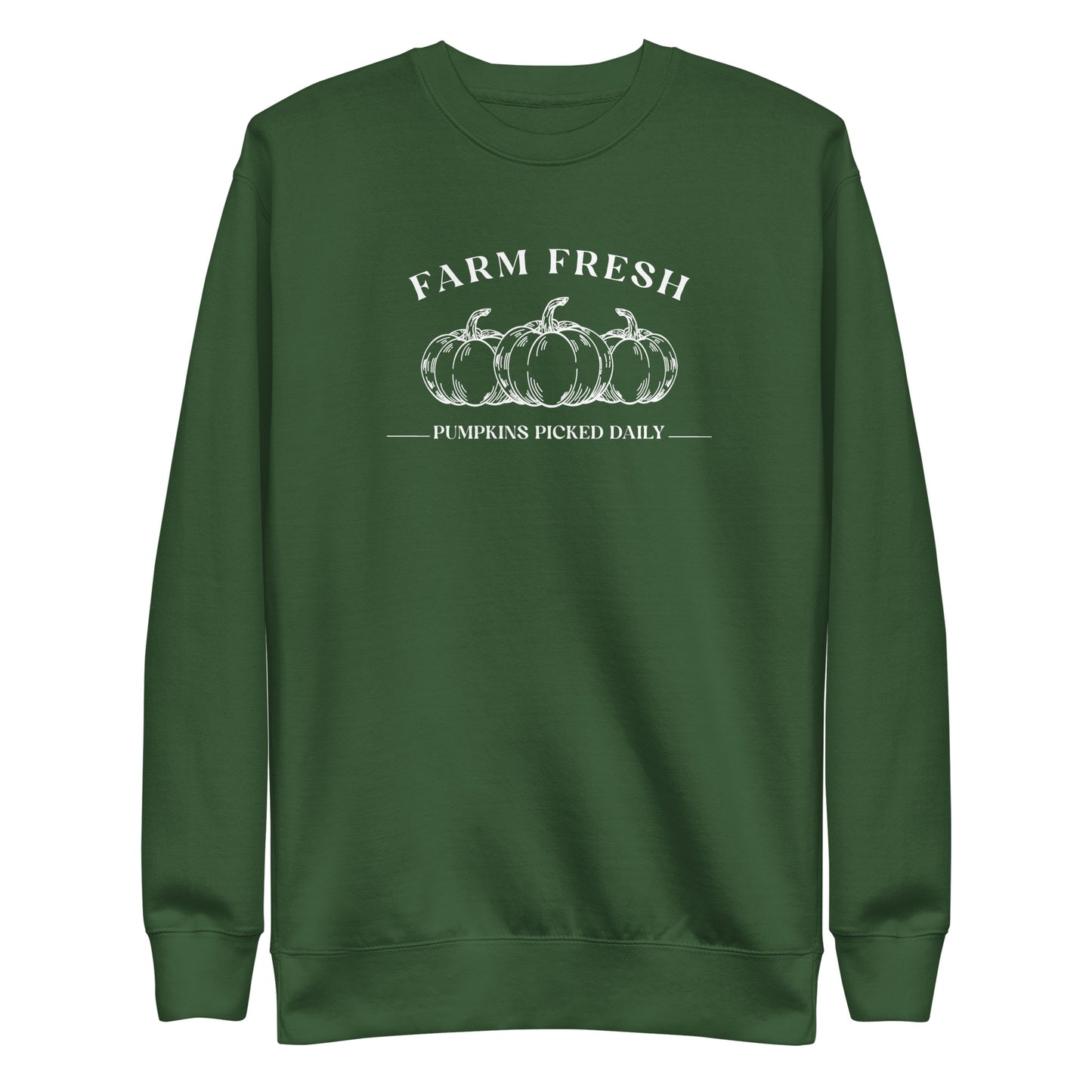 Fresh Pumpkins Embroidered Sweatshirt